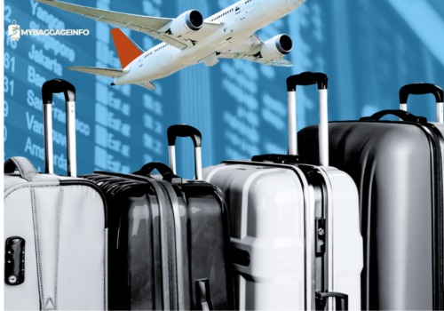 Etihad Baggage Policy and Fees 2025: Complete Guide for Travelers