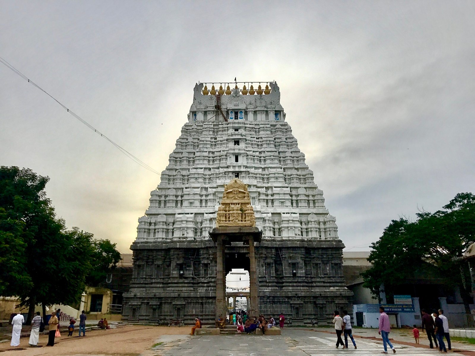 VIP Darshan Booking at Varadharaja Perumal Temple Kanchipuram