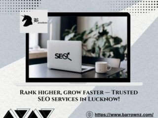 Best-SEO-Services-in-Lucknow-.9