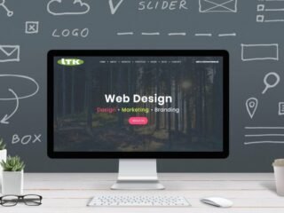 Website-designing-in-Lucknow-1