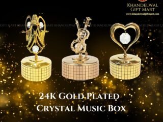 WhatsApp-Image-2025-11-28-at-12.41.39-PM-2-4